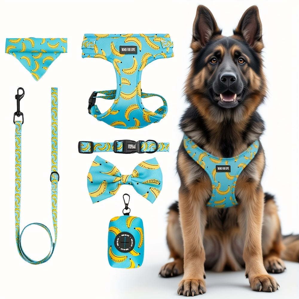 Set de Paseo para Perros 6 en 1 – Diseño Blue Sky Strawberry