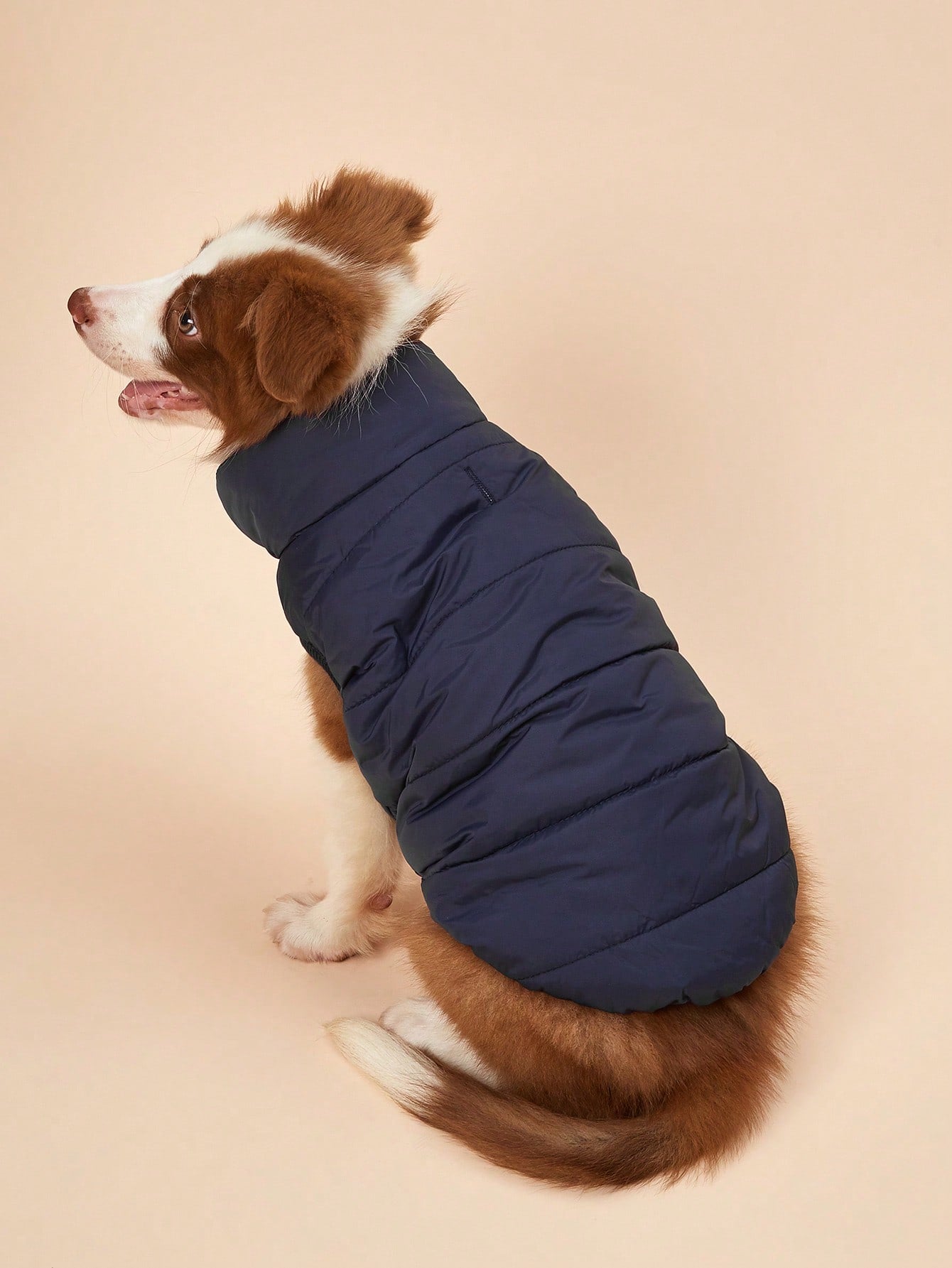Keep Your Furry Friends Cozy This Fall/Winter with Our Windproof Pet Jacket! 🐾✨