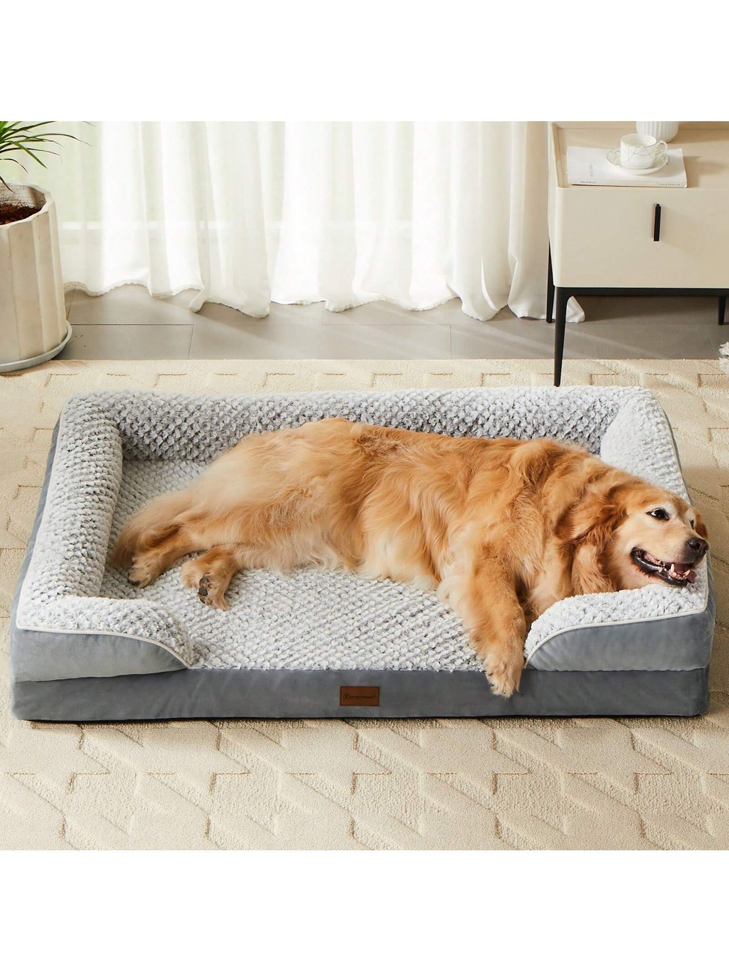 Elevate Your Pup's Comfort with the LEXTRO Orthopedic Dog Bed! Waterproof, Supportive, and Stylish for Your Medium-Sized Fur Baby! 🐾💤