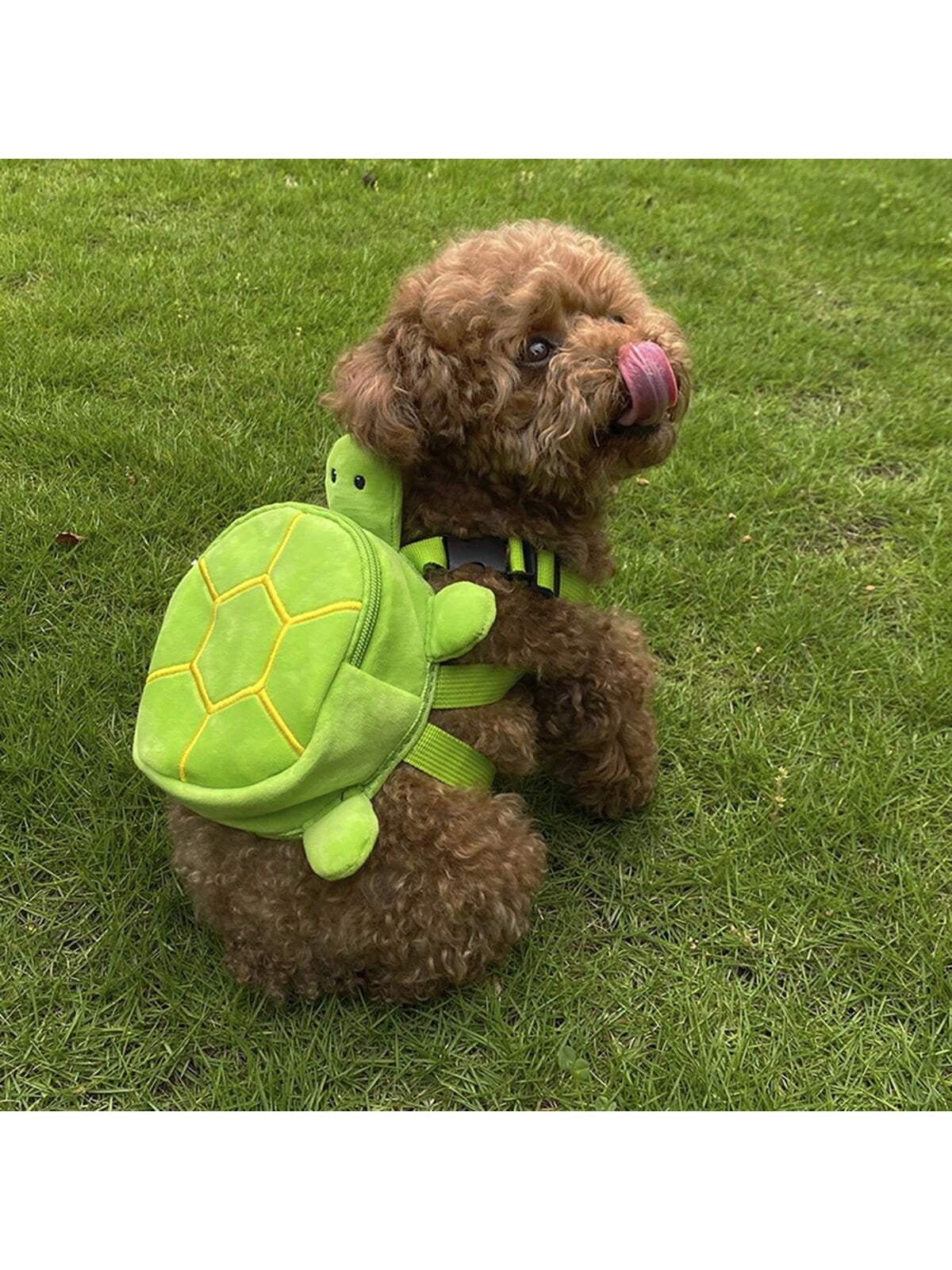 1Pc Green Pet Carrier Bag