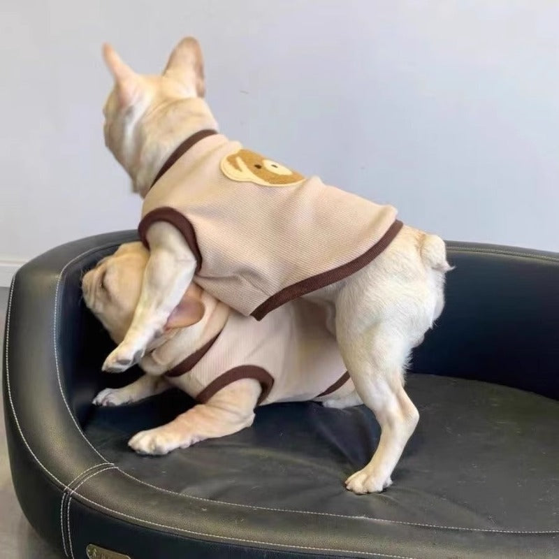 Suéter Cálido para Perros – Diseño de Osito