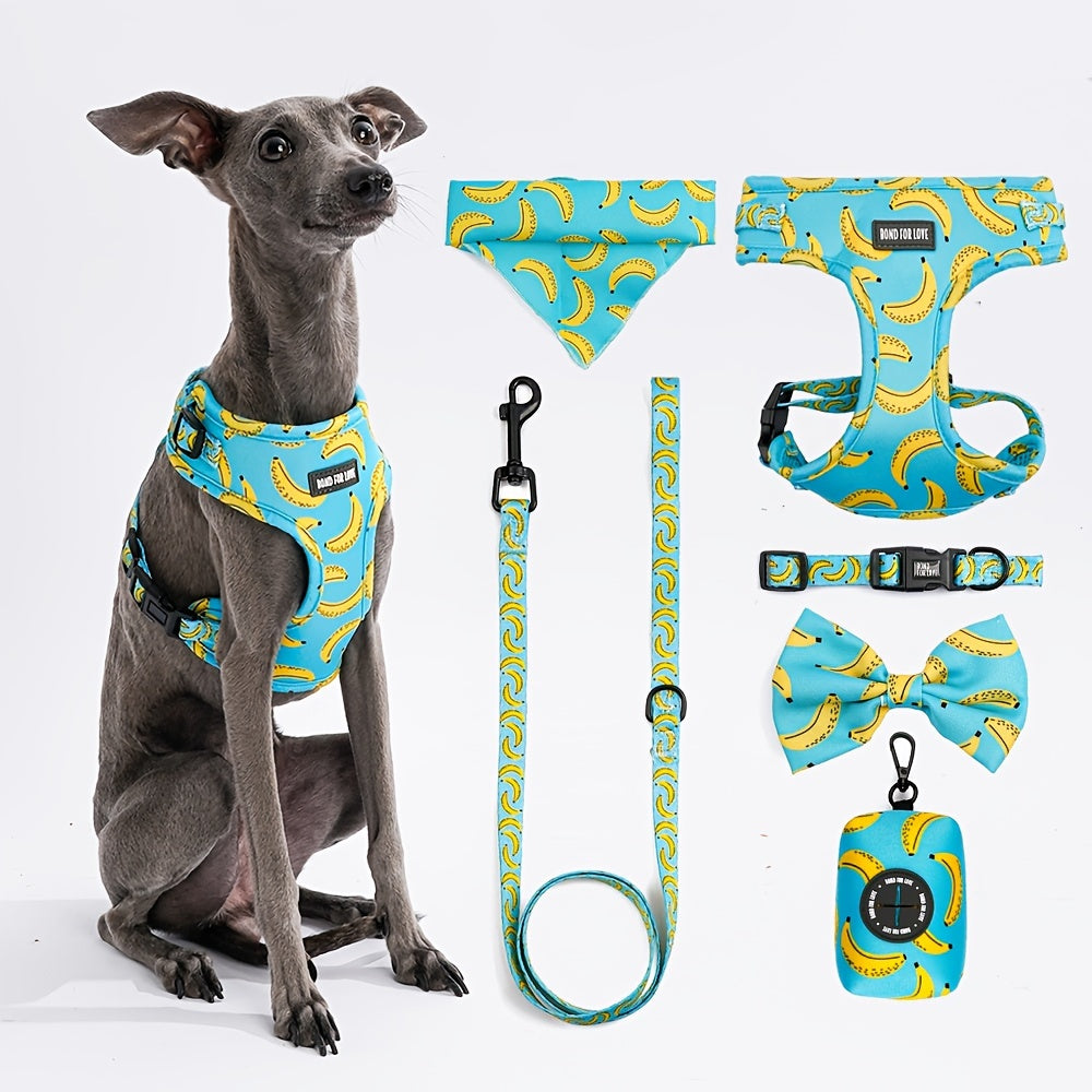 Set de Paseo para Perros 6 en 1 – Diseño Blue Sky Strawberry