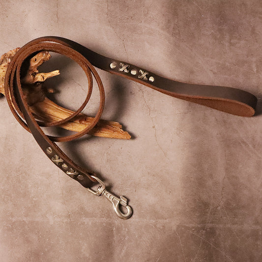 Correa de Entrenamiento para Perros – Cuero Grueso con Remaches Retro