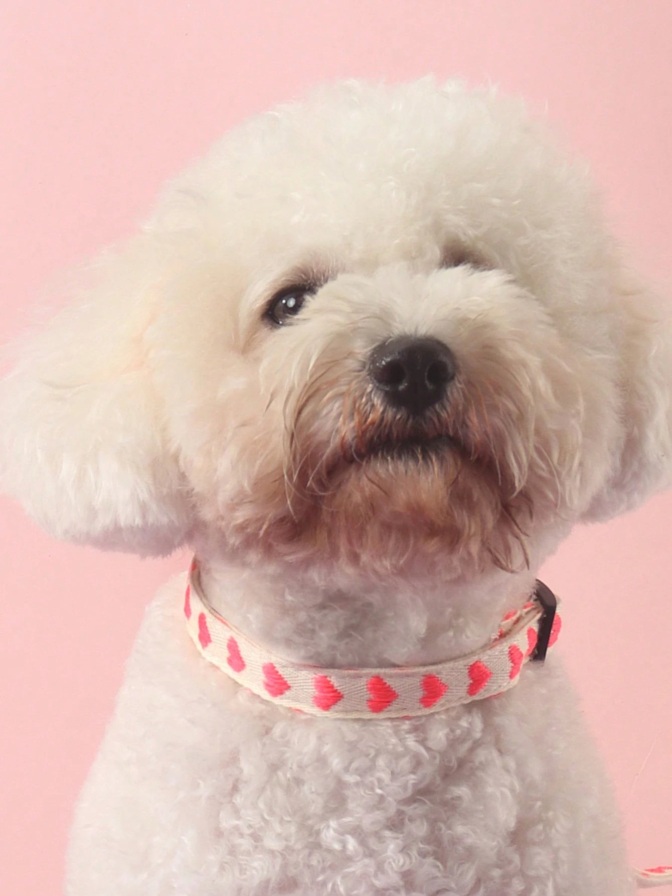 1 Piece of Heart Patterned Jacquard Thin Soft Pet Collar Suitable for Small Cats and Dogs to Use at Home and Outdoors (Not Suitable for Cat and Dog Accessories for Large Dogs)