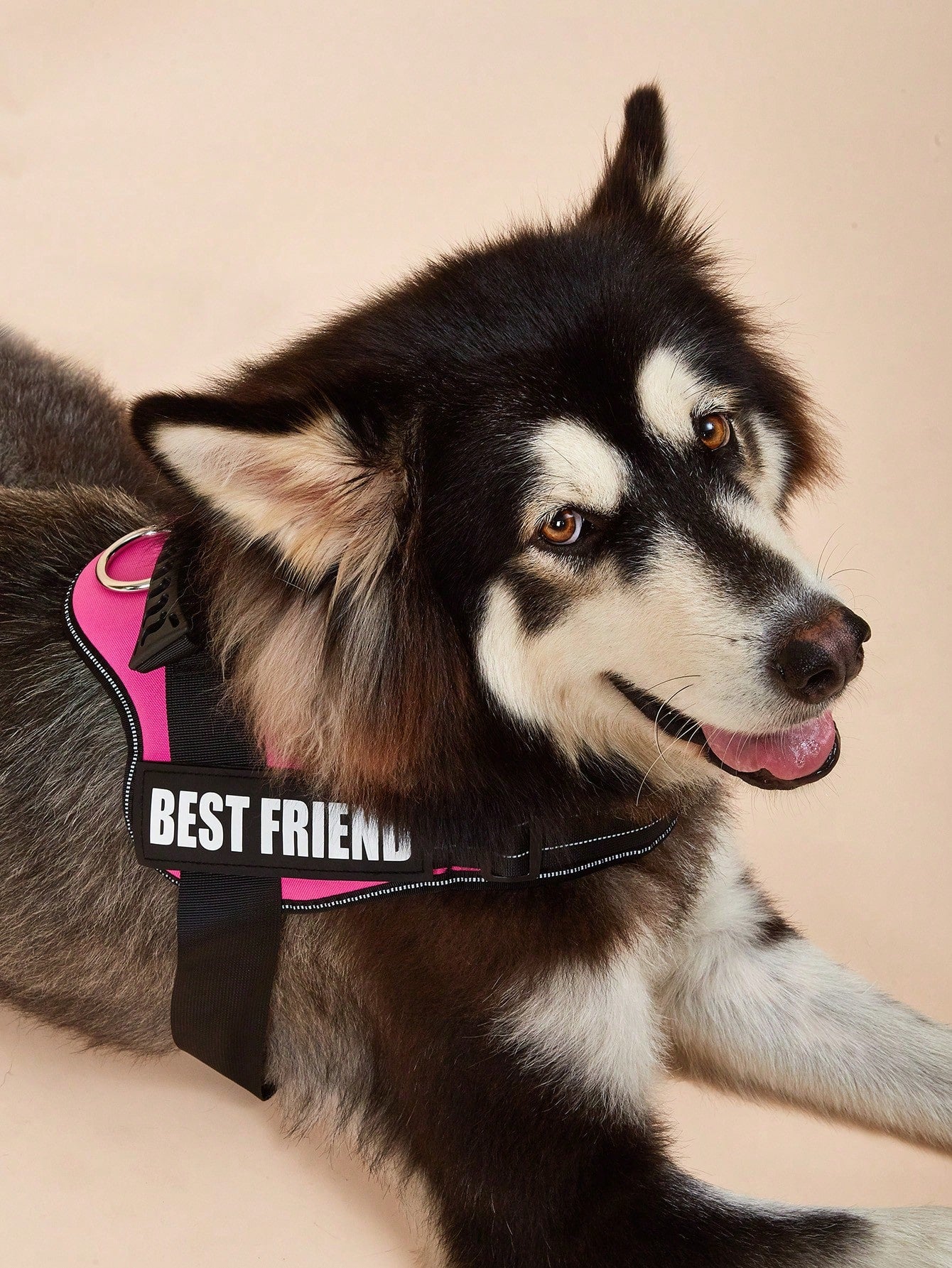 1Pc Pink, Anti-Explosion, Flashing Strip Decorated Pet Chest Strap, Back Strap, Vest-Style Harness, Suitable for Small, Medium, and Large Dogs to Go Out for Walks or Trainings