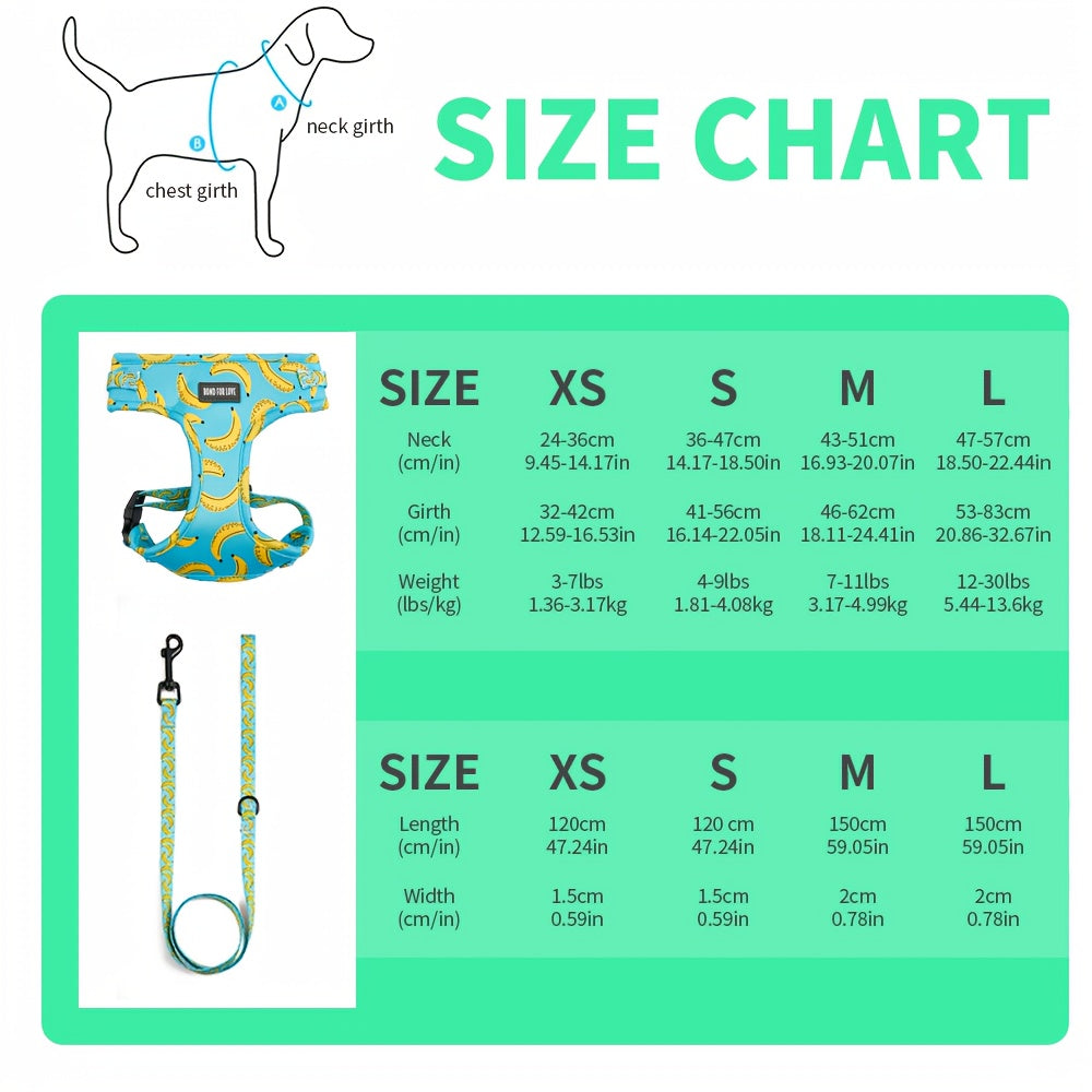 Set de Paseo para Perros 6 en 1 – Diseño Blue Sky Strawberry