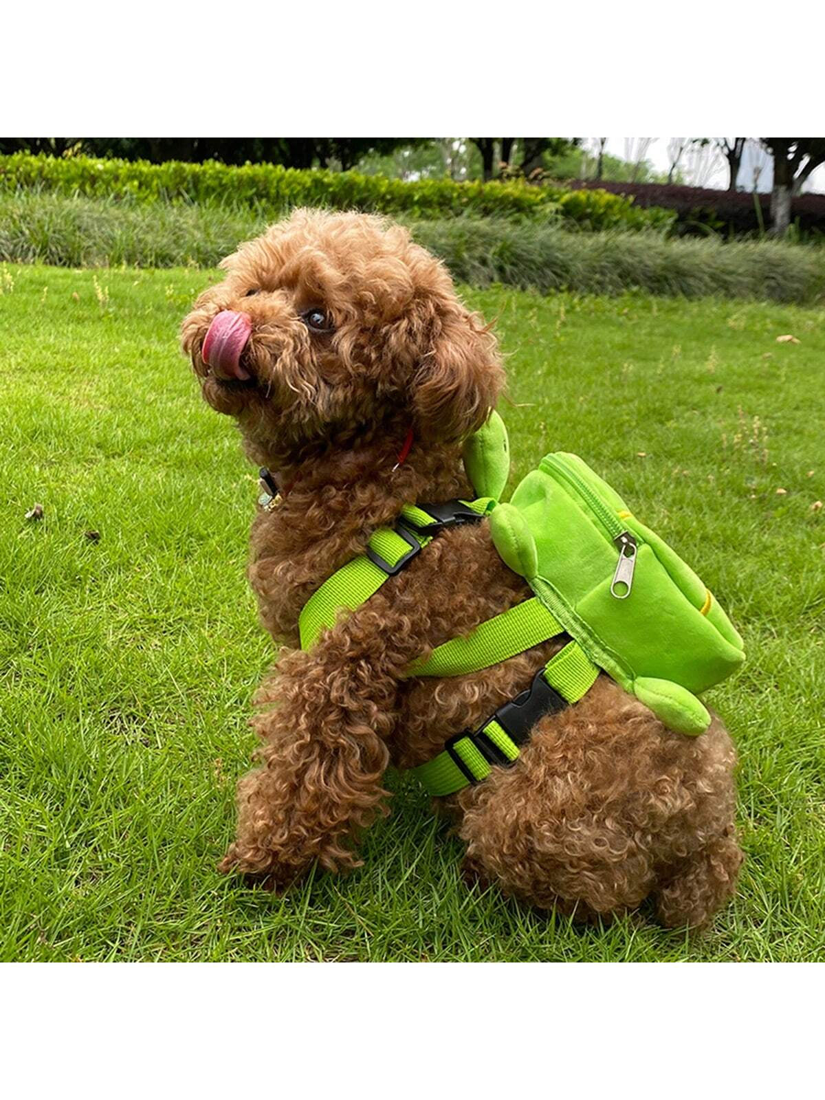 1Pc Green Pet Carrier Bag