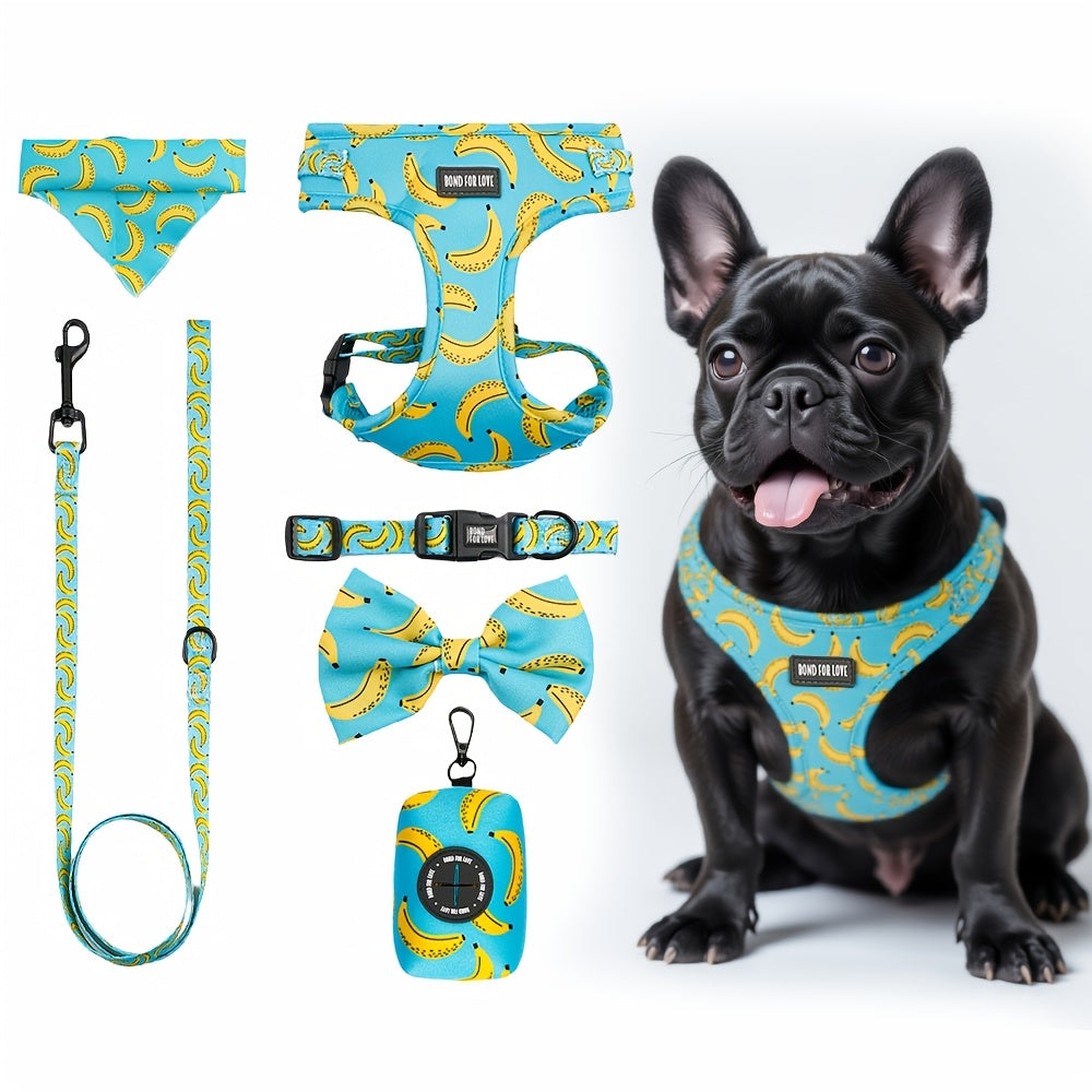 Set de Paseo para Perros 6 en 1 – Diseño Blue Sky Strawberry
