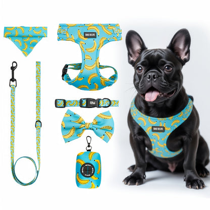 Set de Paseo para Perros 6 en 1 – Diseño Blue Sky Strawberry