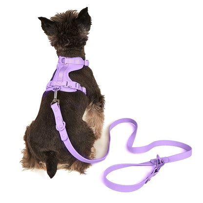 Arnés y Correa para Perros – Impermeable, Ajustable y Fácil de Limpiar