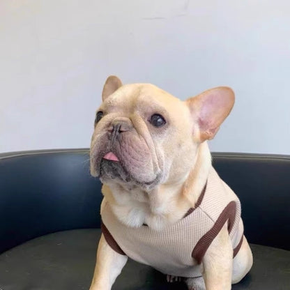 Suéter Cálido para Perros – Diseño de Osito