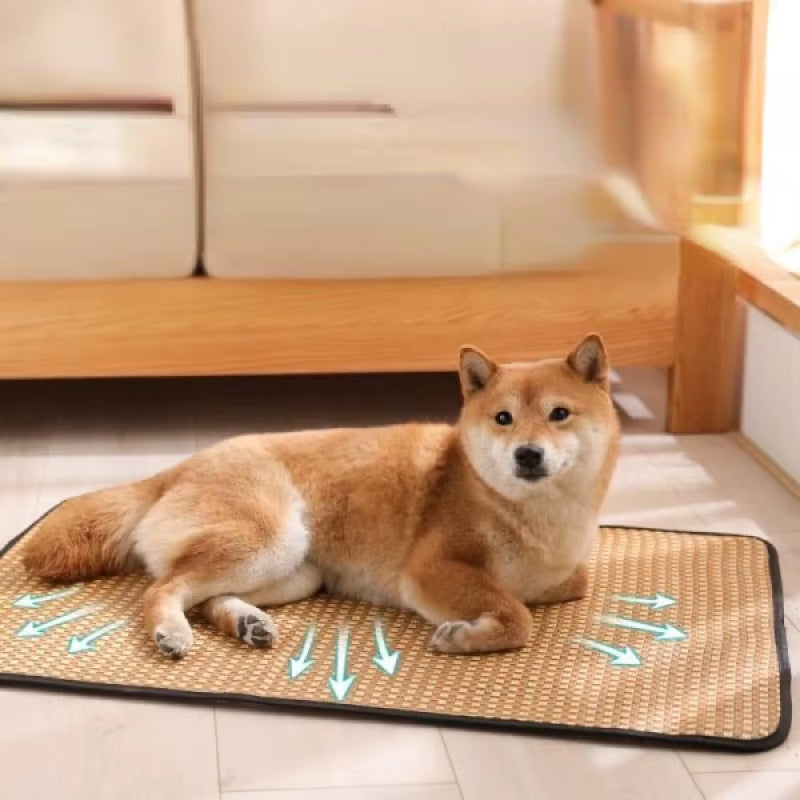 Dog Cooling Mat Summer Pet Cold Bed Extra Large for Small Medium Large Dogs Cats Pets Pet Ice Pad Dog Bed Cat Bed Pet Bed