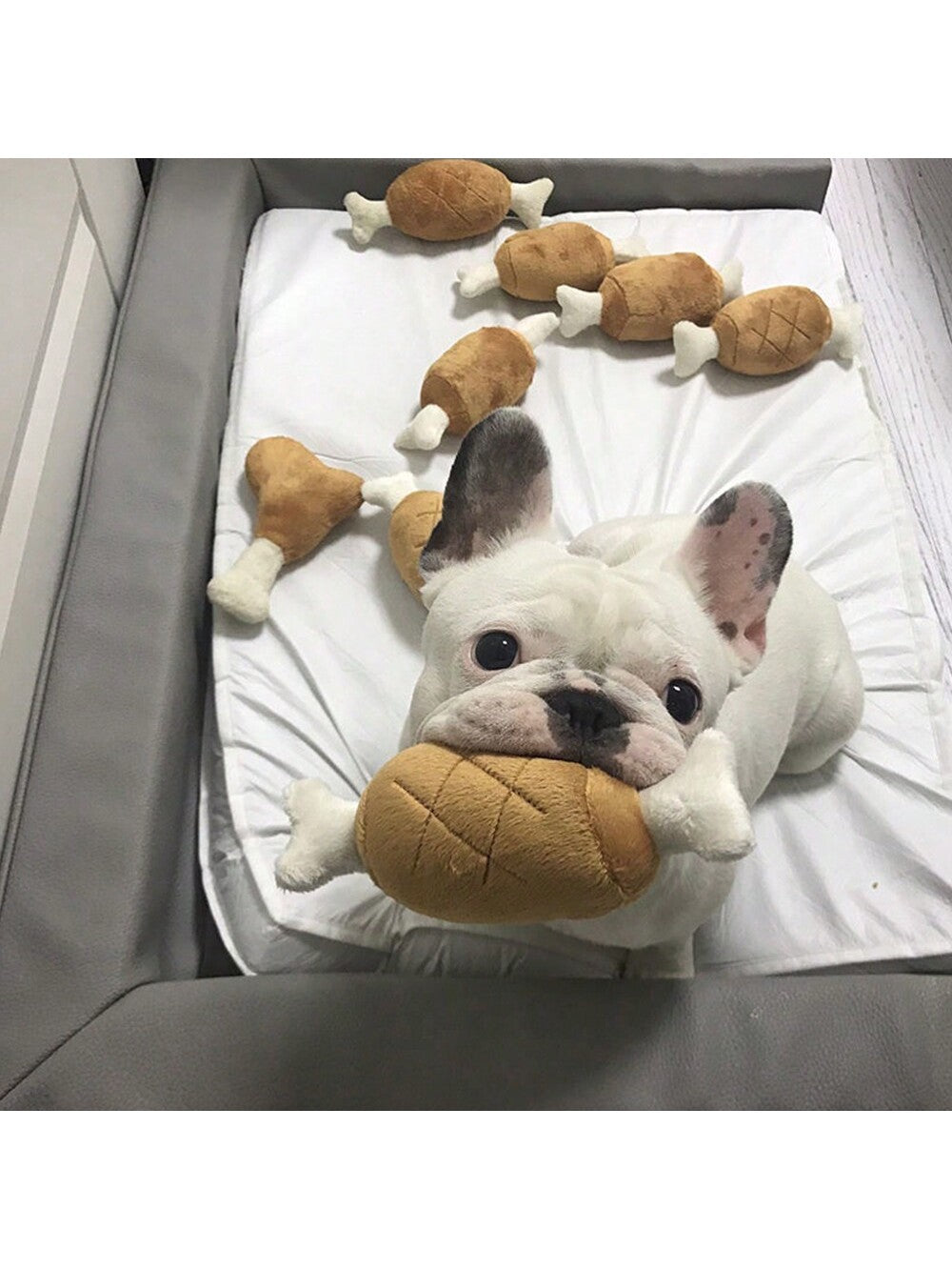 1Pc Plush Pp Chicken Bone Shaped Teeth Cleaning and Interactive Squeaky Dog Toy, Suitable for Small and Medium Dogs