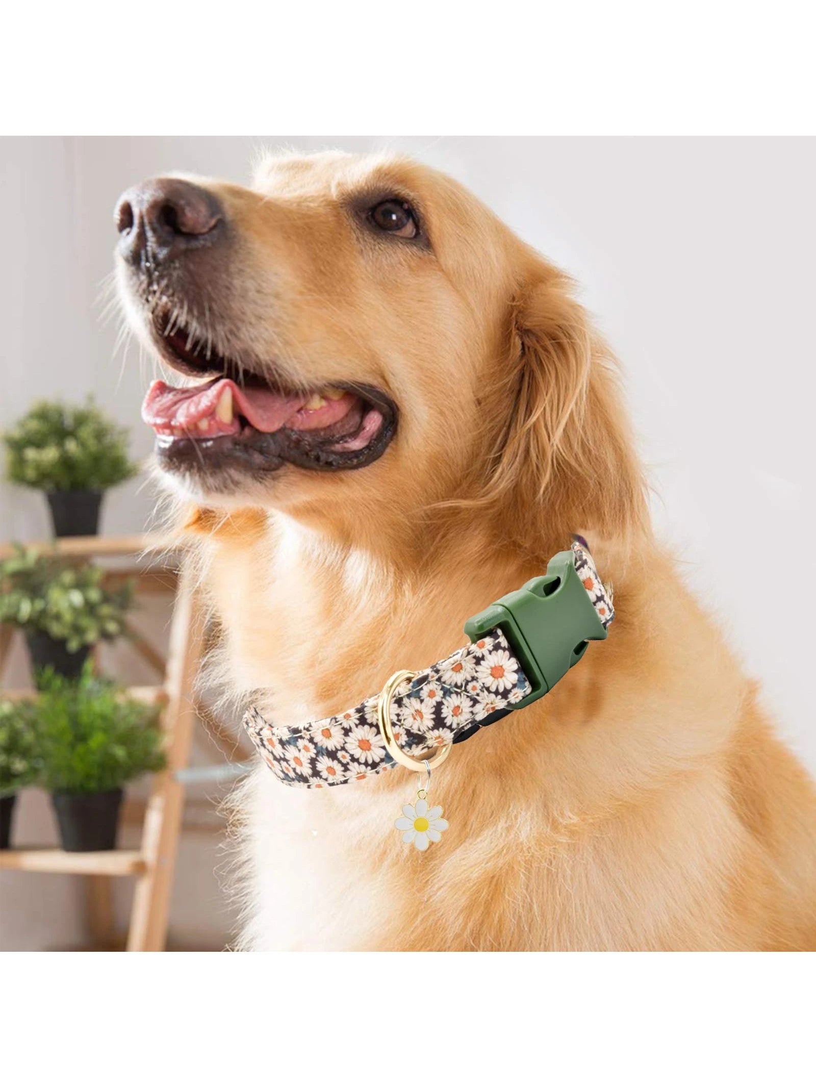 1Pc Flower Pattern Quick Release Dog Collar Suitable for Indoor and Outdoor Use
