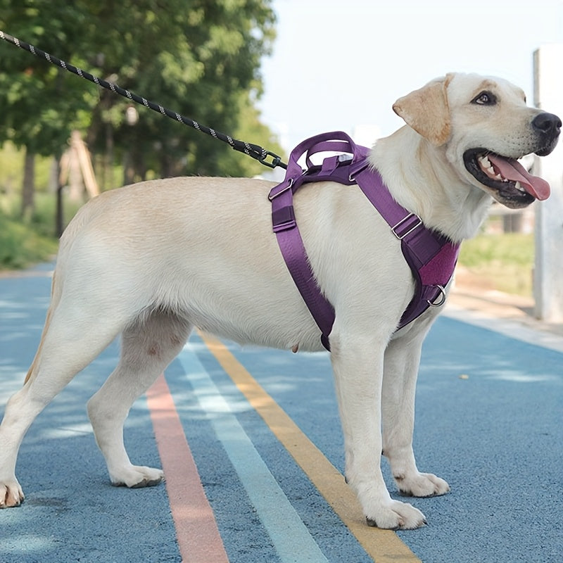 Arnés Táctico para Perros + Correa – Nylon Resistente para Entrenamiento