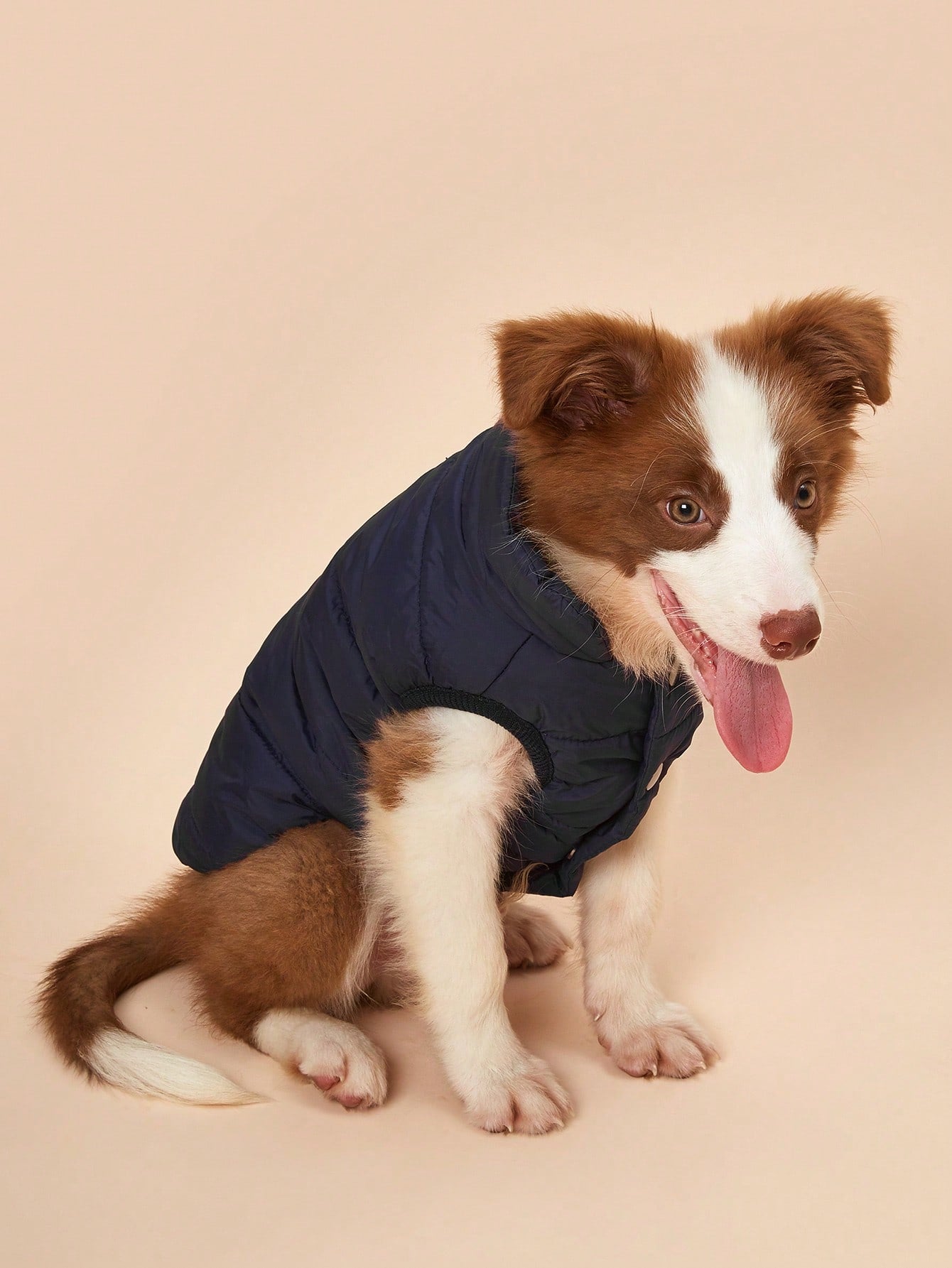 Keep Your Furry Friends Cozy This Fall/Winter with Our Windproof Pet Jacket! 🐾✨