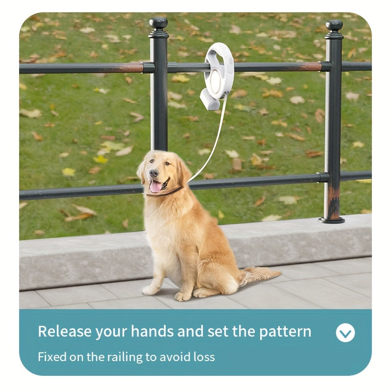 Correa Retráctil 3 m con Luz LED y Porta Bolsas – USB Recargable, Resistente hasta 100 kg