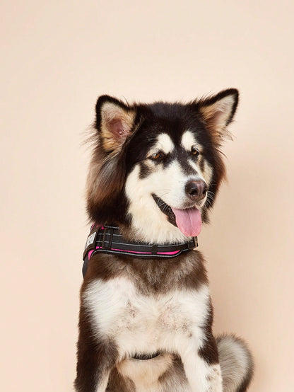 1Pc Pink, Anti-Explosion, Flashing Strip Decorated Pet Chest Strap, Back Strap, Vest-Style Harness, Suitable for Small, Medium, and Large Dogs to Go Out for Walks or Trainings