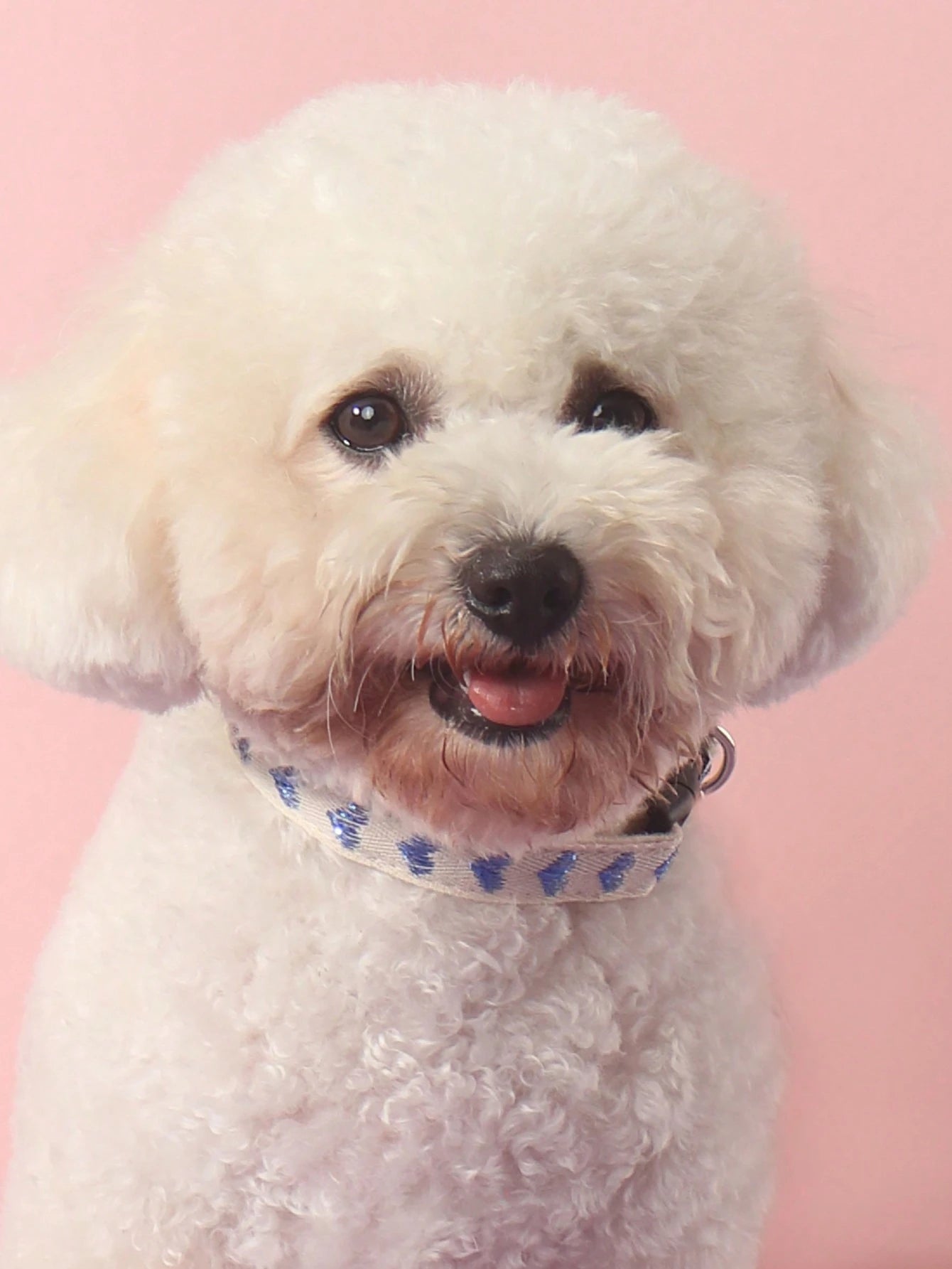 1 Piece of Heart Patterned Jacquard Thin Soft Pet Collar Suitable for Small Cats and Dogs to Use at Home and Outdoors (Not Suitable for Cat and Dog Accessories for Large Dogs)