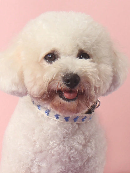 1 Piece of Heart Patterned Jacquard Thin Soft Pet Collar Suitable for Small Cats and Dogs to Use at Home and Outdoors (Not Suitable for Cat and Dog Accessories for Large Dogs)