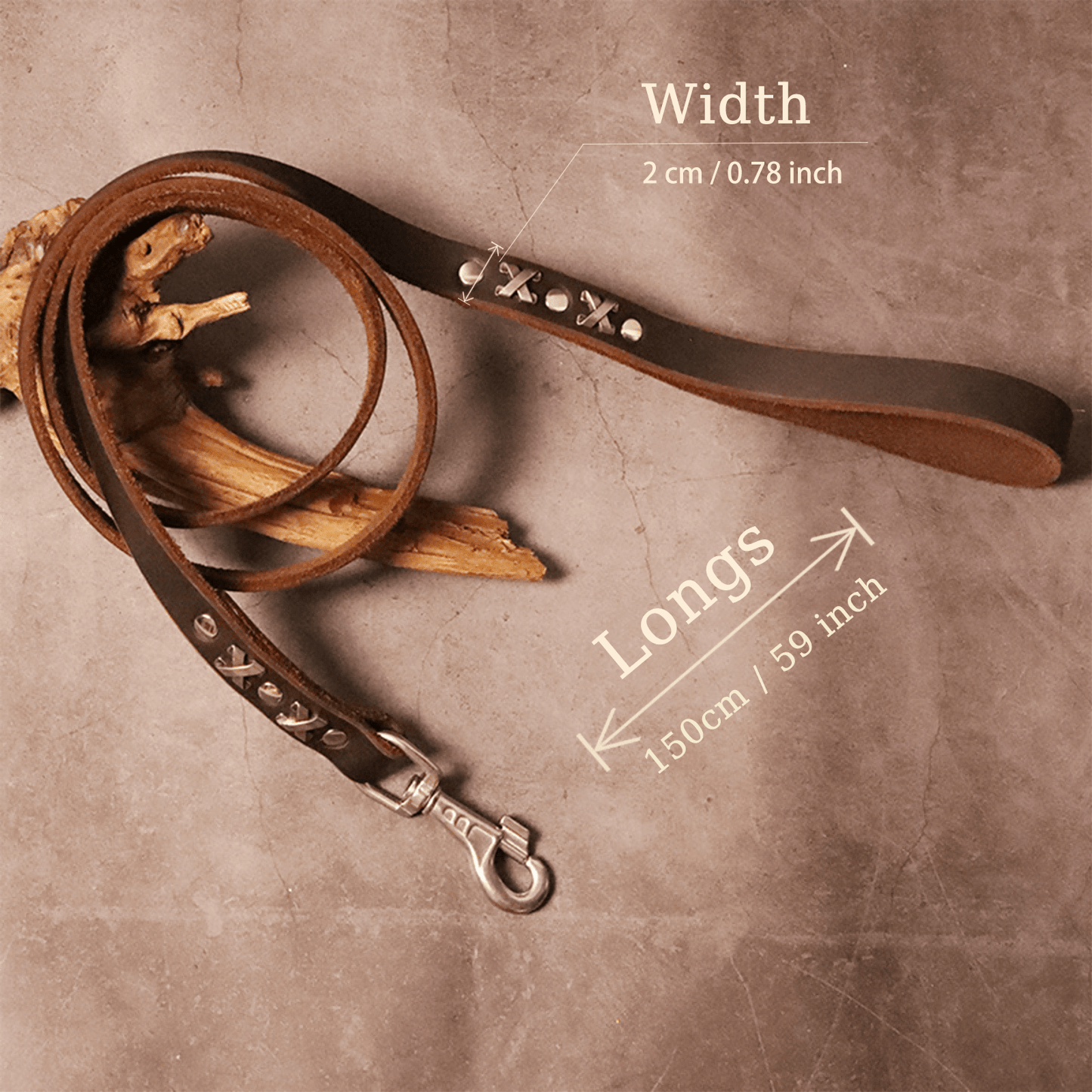 Correa de Entrenamiento para Perros – Cuero Grueso con Remaches Retro