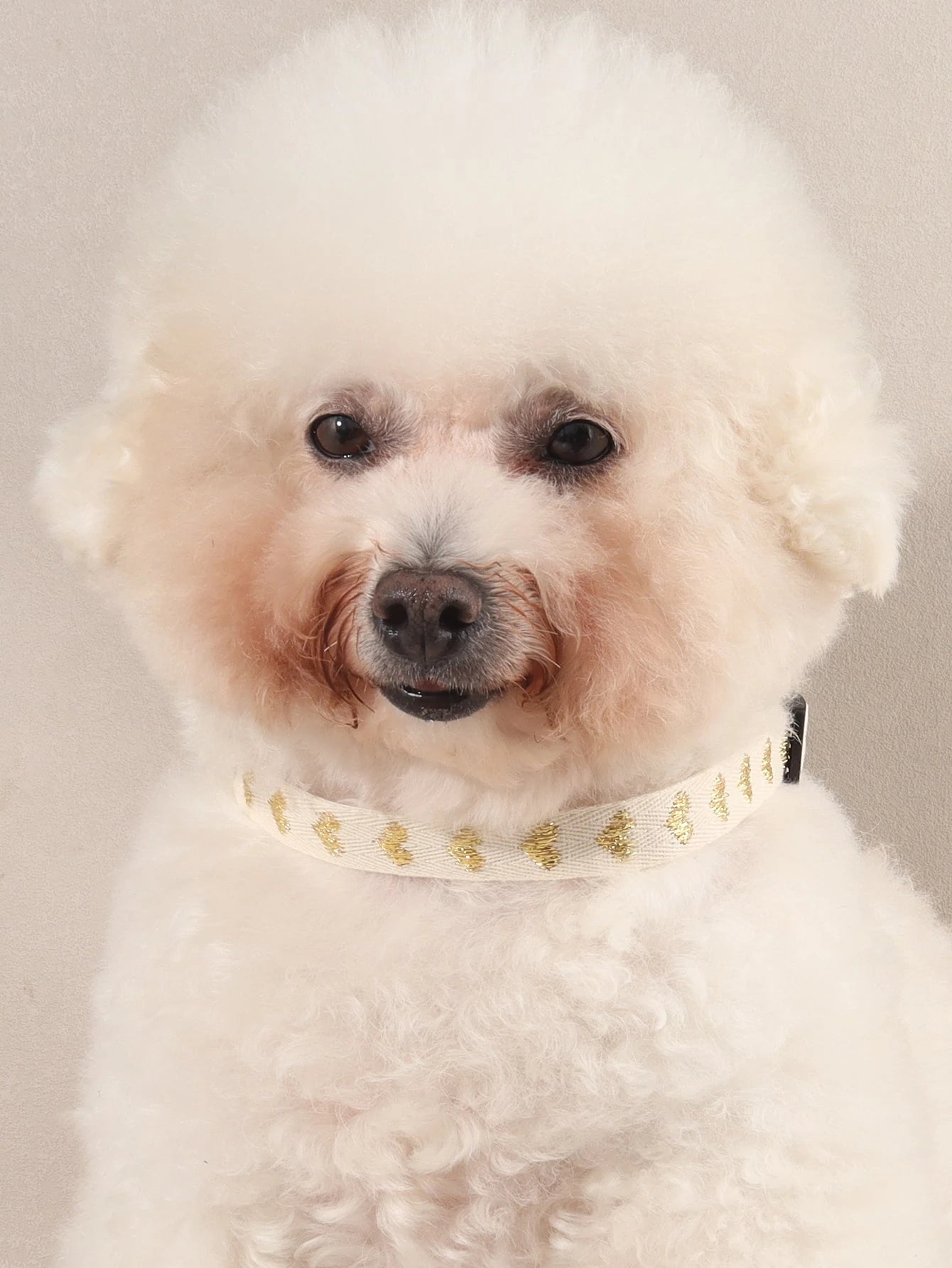 Cute Heart Patterned Jacquard Pet Collar - Perfect for Small Cats and Dogs! 🐾💖 Ideal for Home & Outdoor Adventures!