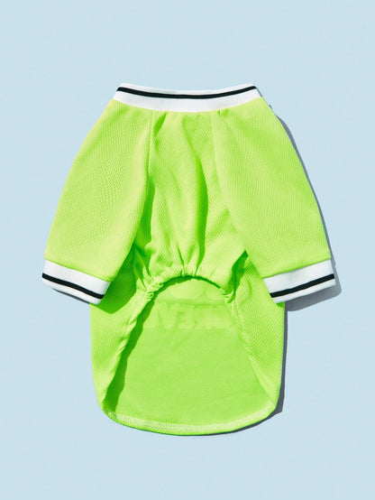 PETSIN 1Pc Slogan Graphic Pet Tee for Dog and Cat for Spring and Summer